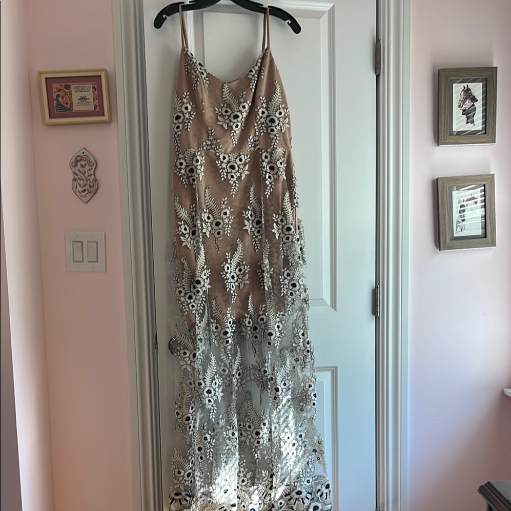 Dress The Population Long Lace Dress